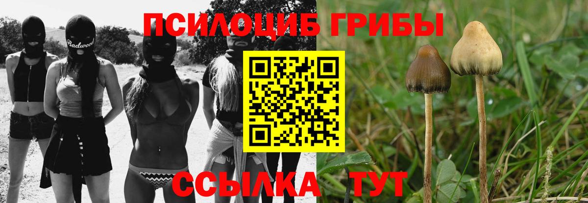 Галлюциногенные грибы Psilocybine cubensis  Псилоцибиновые грибы Psilocybe  Пыть-Ях  Вход с VPN 